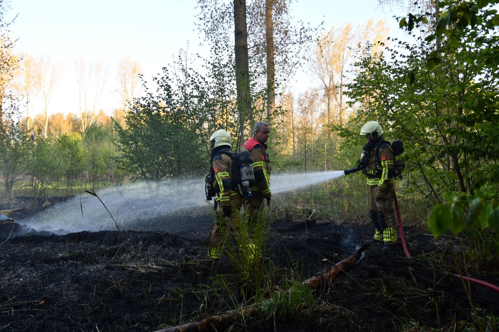Twee branden in het Leeuwarder bos