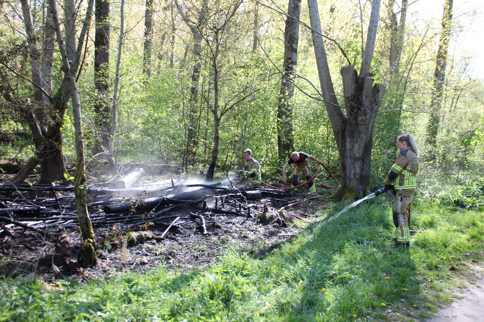 Opnieuw brand in Leeuwarder bos