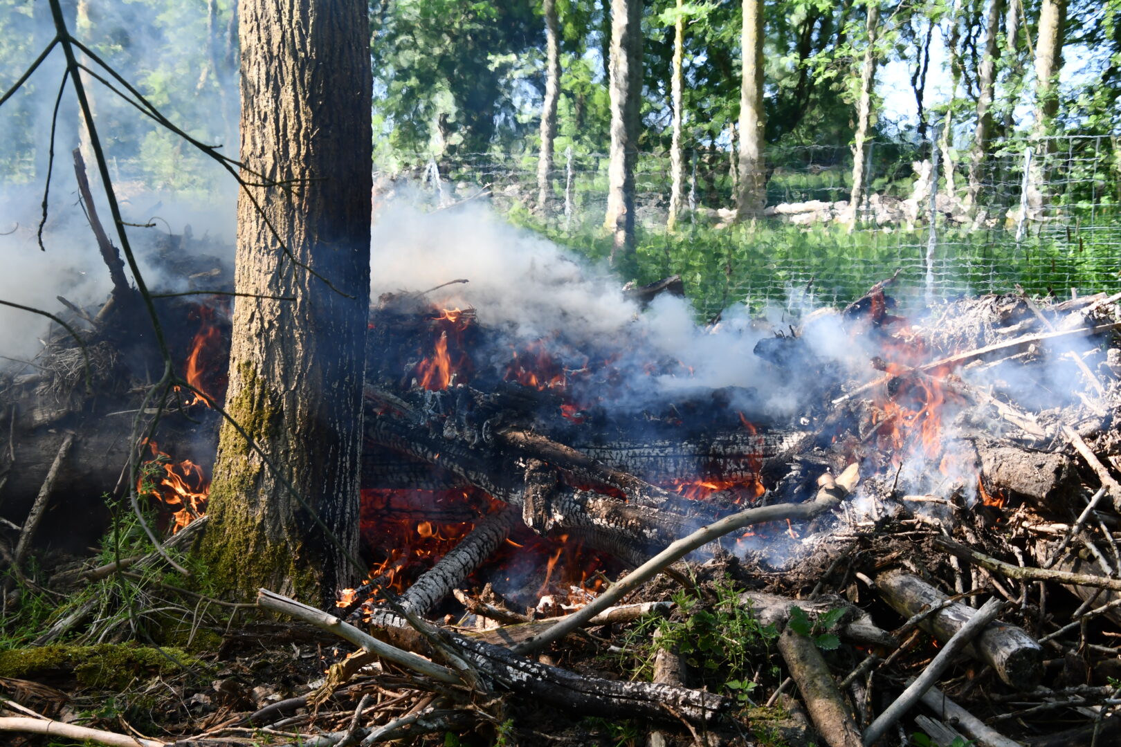 Brandweer blust brandende takkenbult in Leeuwarder Bos