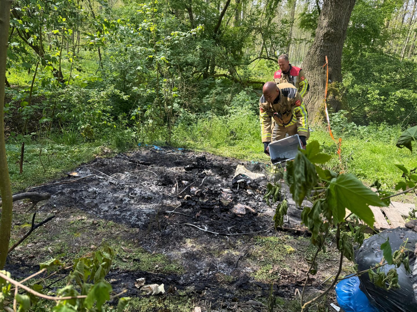Tent in brand in Leeuwarder bos nabij Jelsum