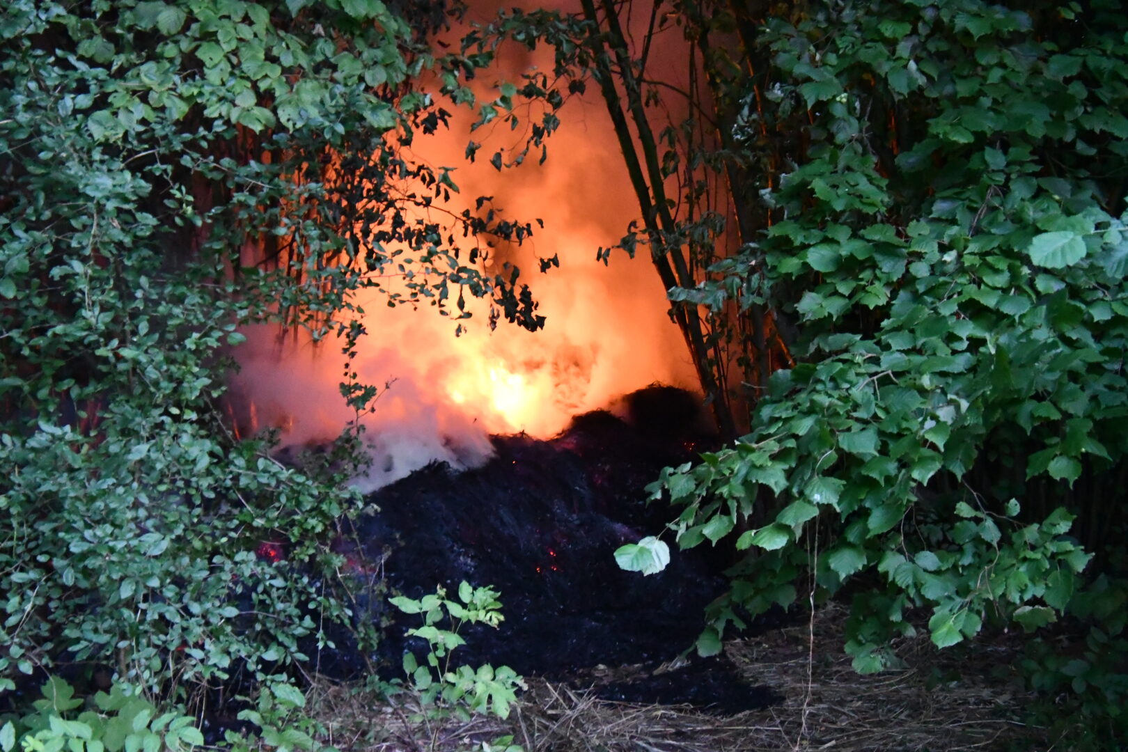 Twee grasbulten in brand in Leeuwarder Bos, brandstichting niet uitgesloten