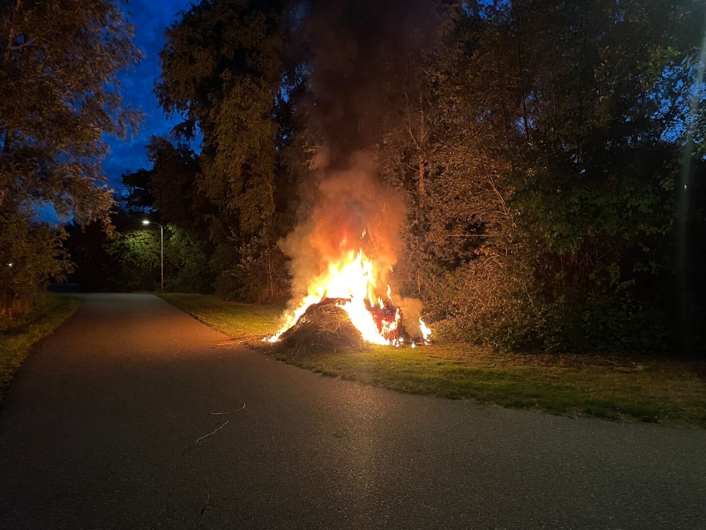 Deelscooter in lichterlaaie in grasbult