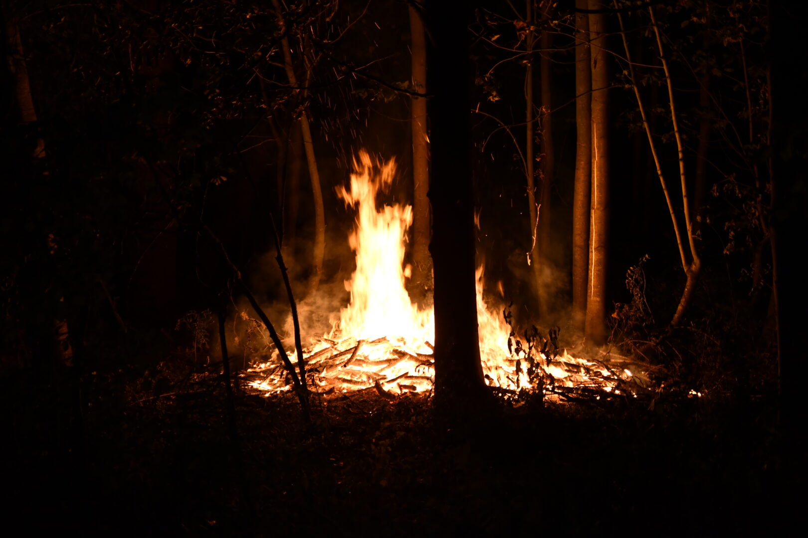 Voor de tweede keer bosbrand aan Philibert Grimaudpad