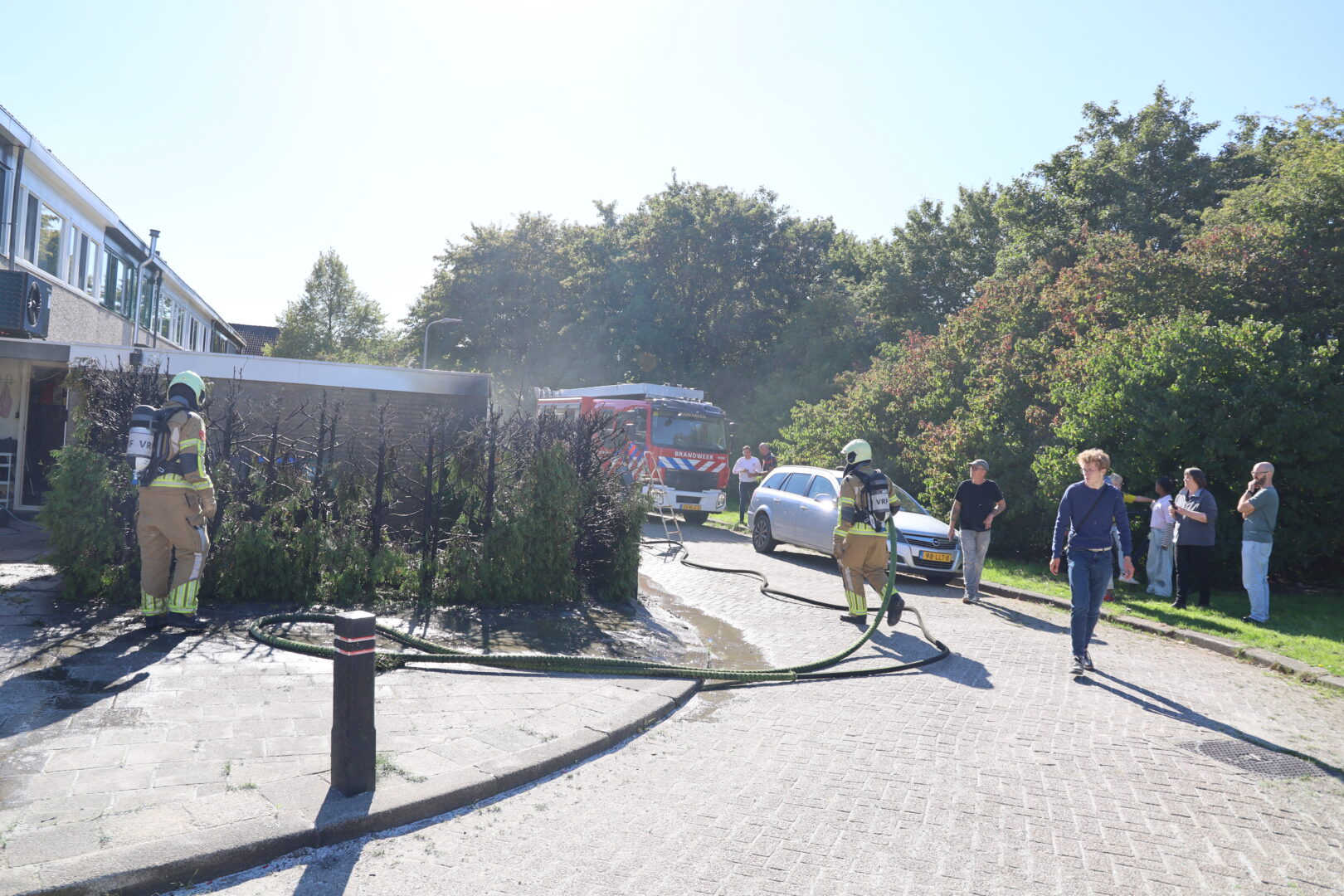 Coniferen in lichterlaaie door onkruidbranden