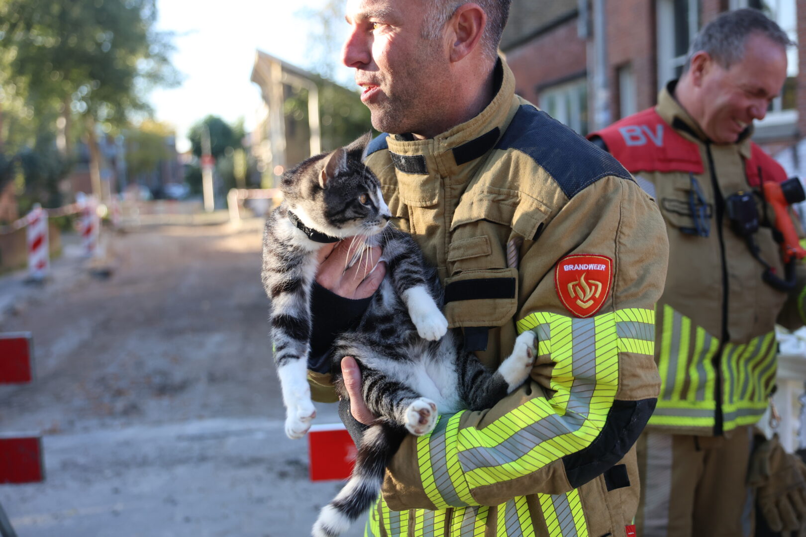Brandweer redt poes Paco uit struik na zoektocht in rioolbuis