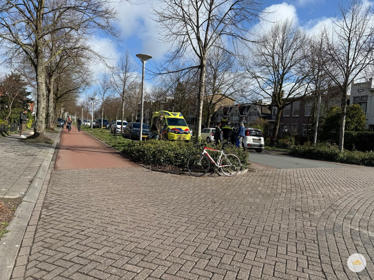 Vrouw laat hond uit en wordt aangereden