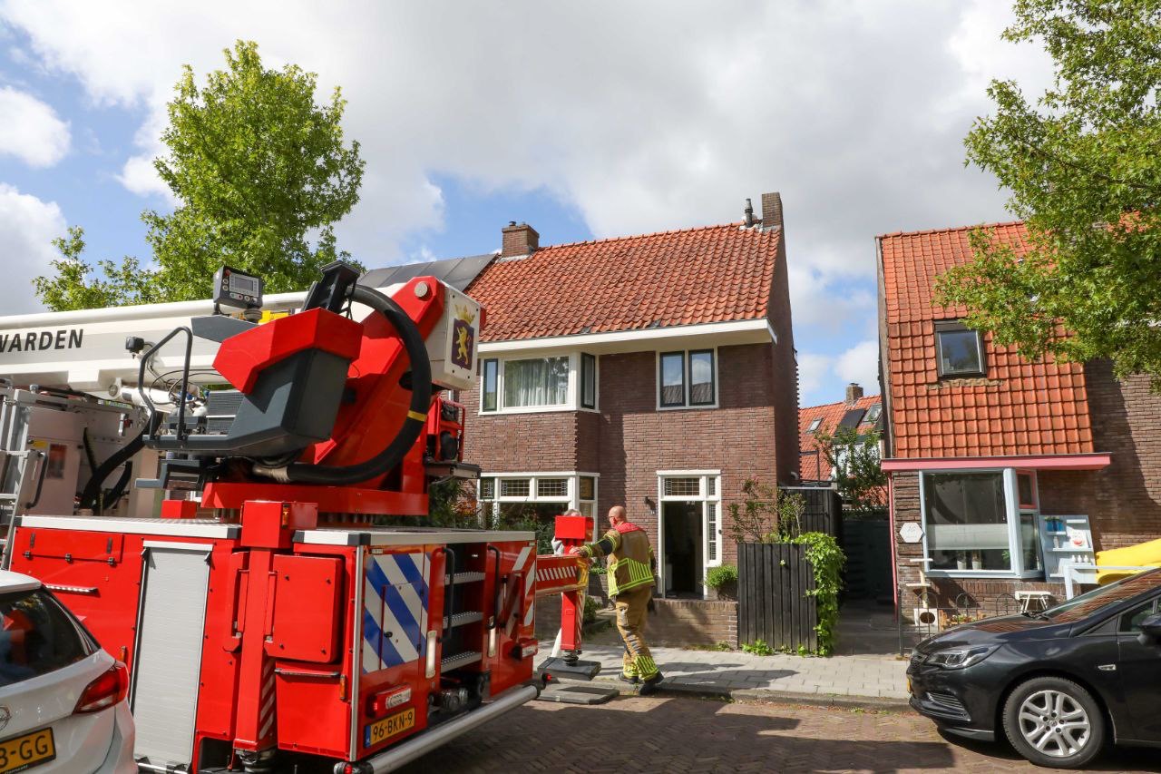 Kat ziet redding niet zitten en kiest het hazenpad