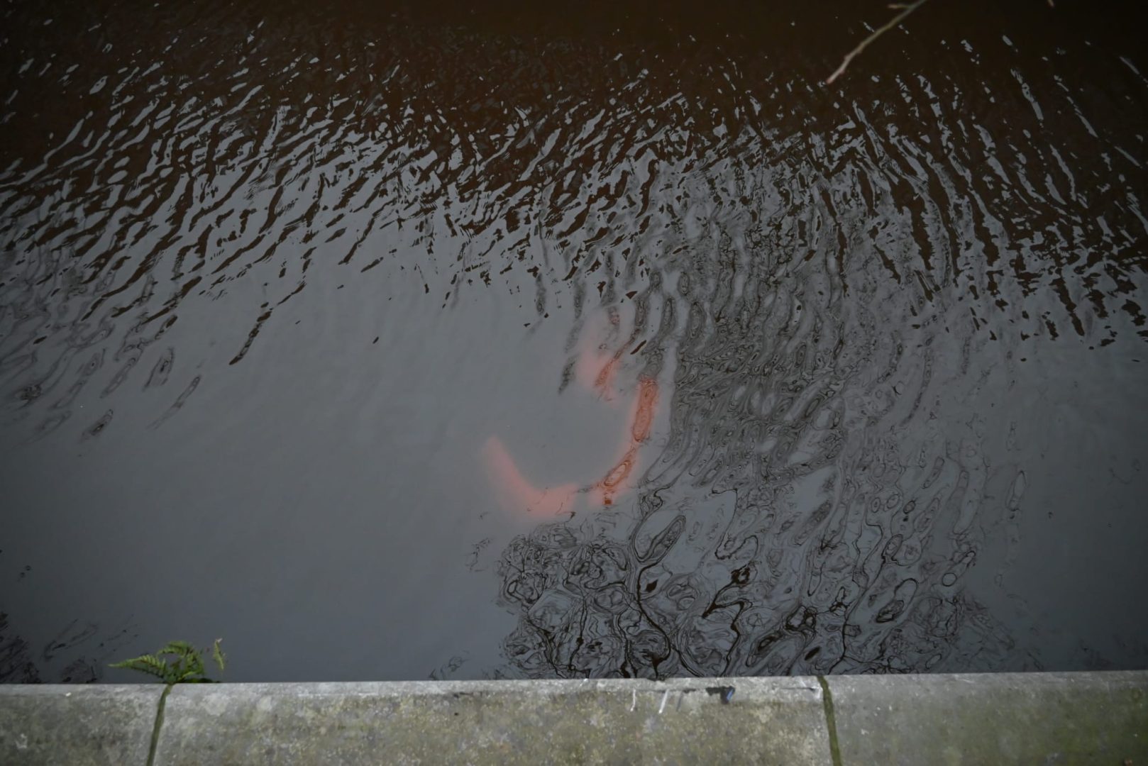 Scooterrijder te water aan de Voorstreek