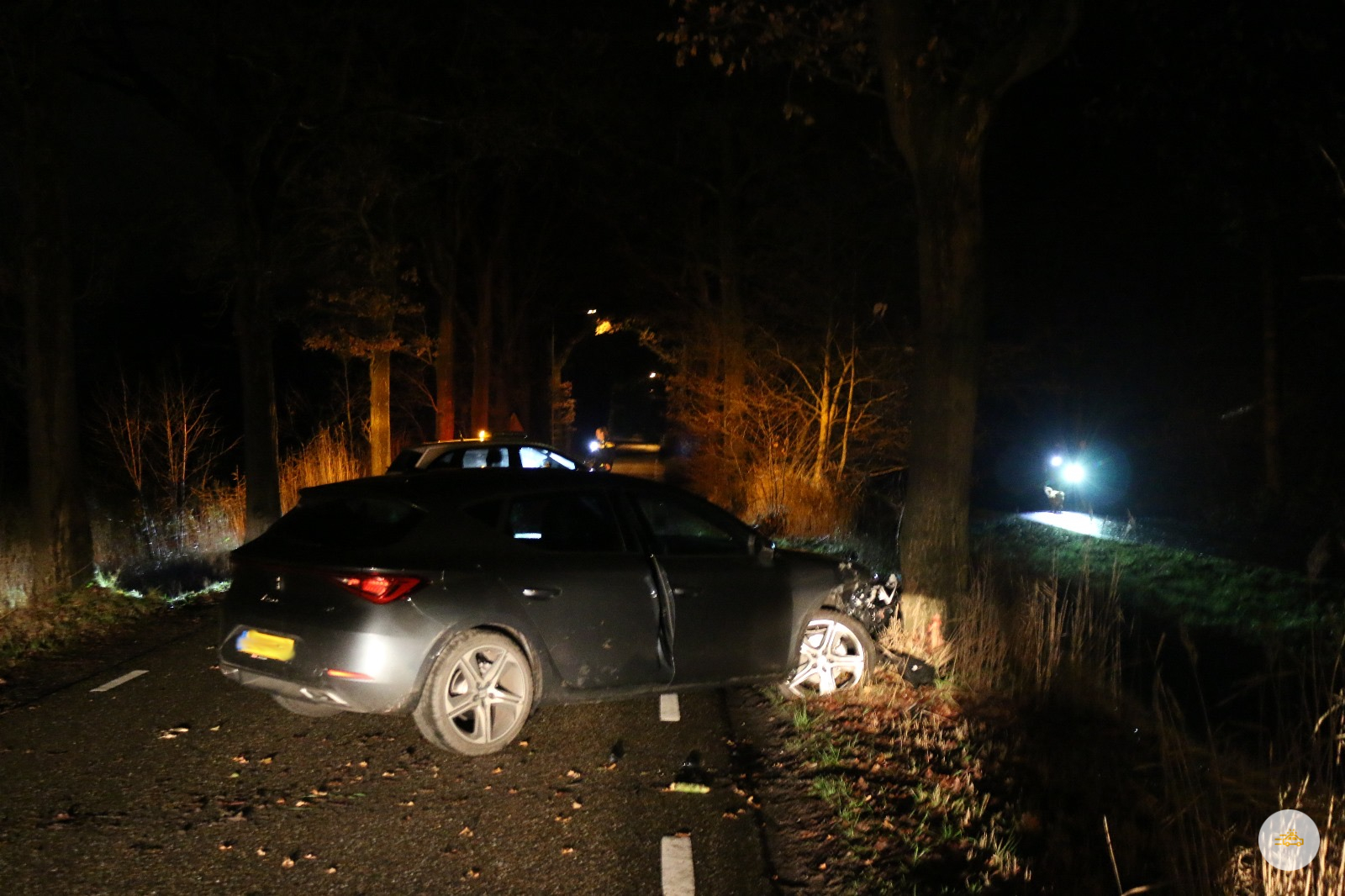 Automobilist rijd tegen een boom