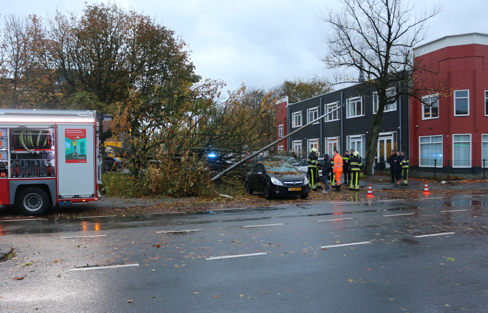 Boom valt op rijdende auto
