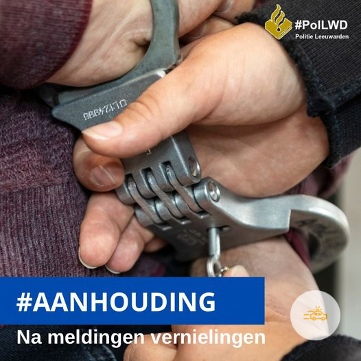 Jongedame 15 jaar aangehouden na mishandeling van agenten