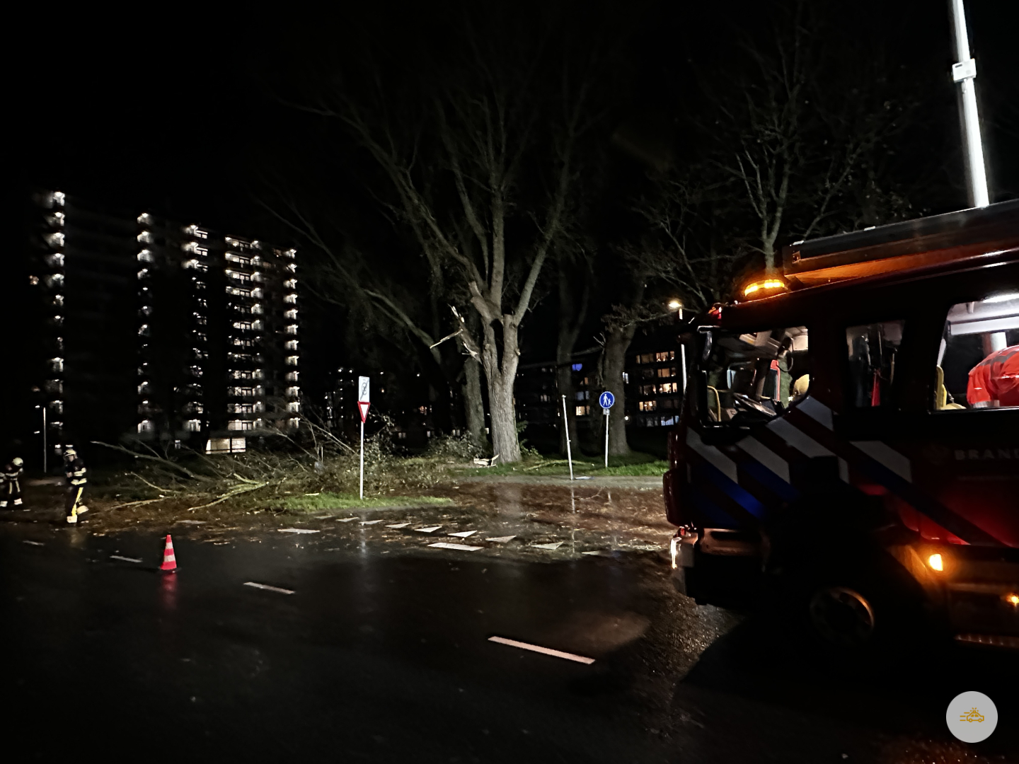 Grote tak breekt af en raakt 2 auto’s