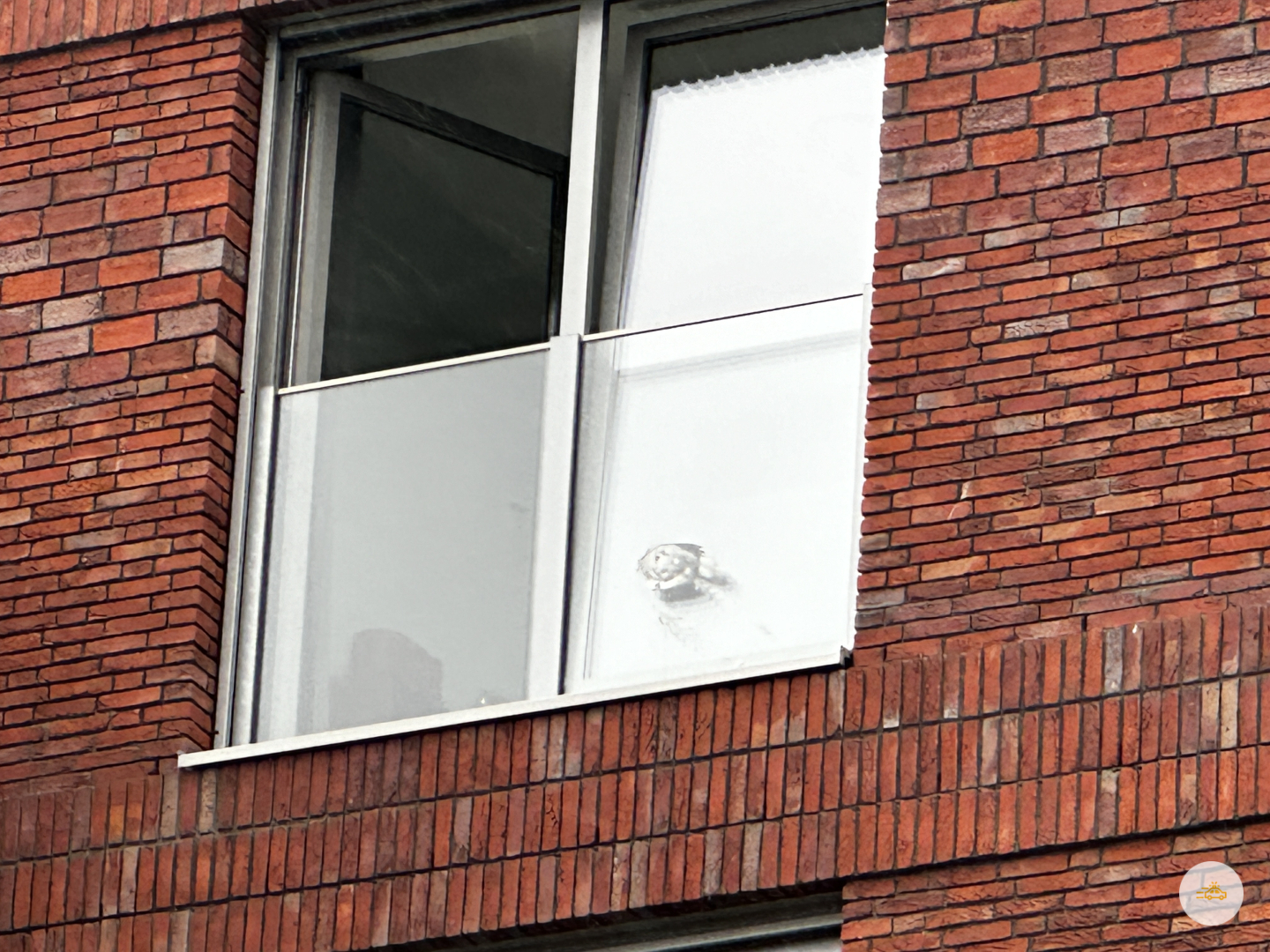 Duif komt vast te zitten in studentenflat
