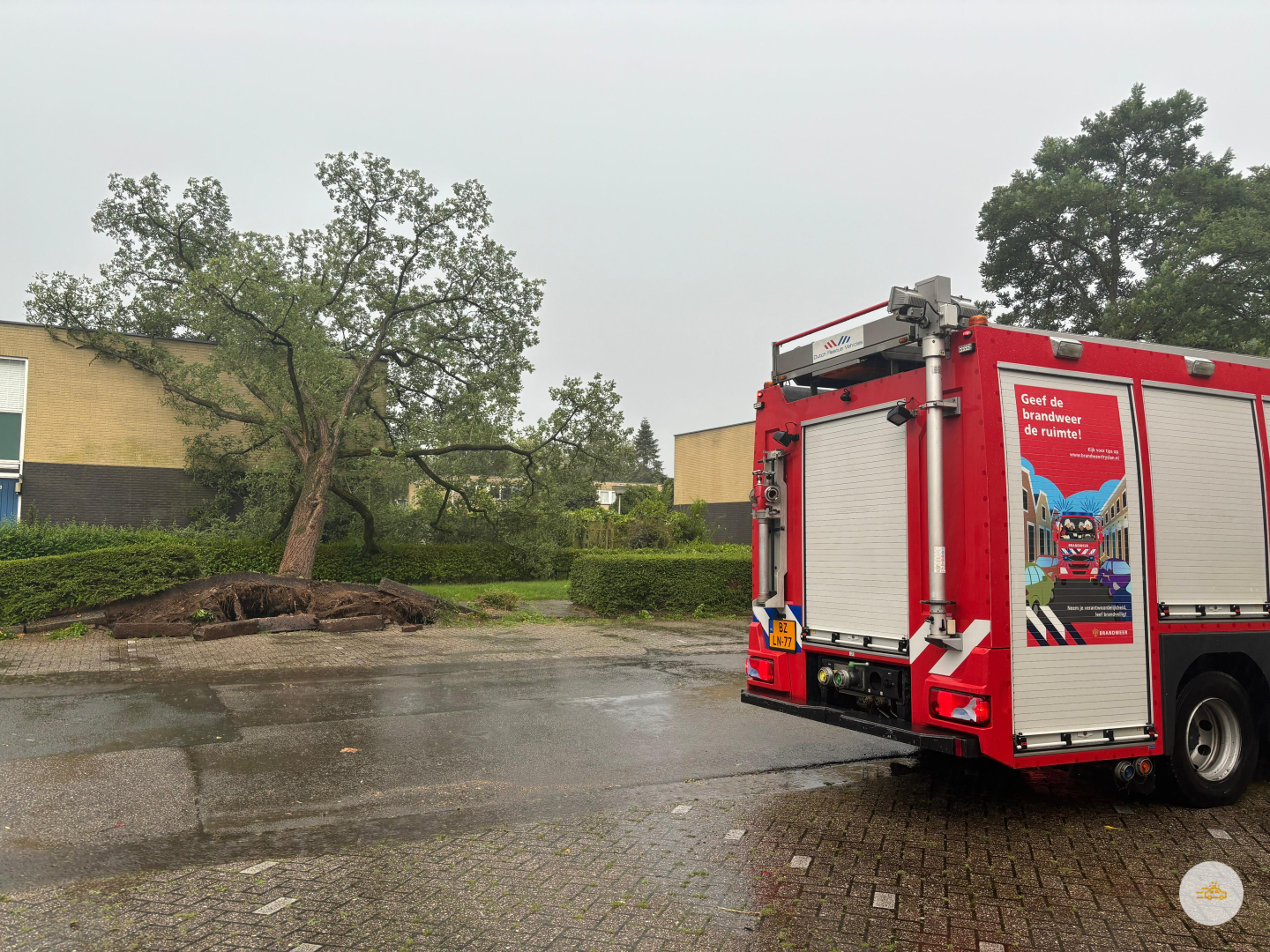 Grote boom omgewaaid door harde wind in wijk Bilgaard