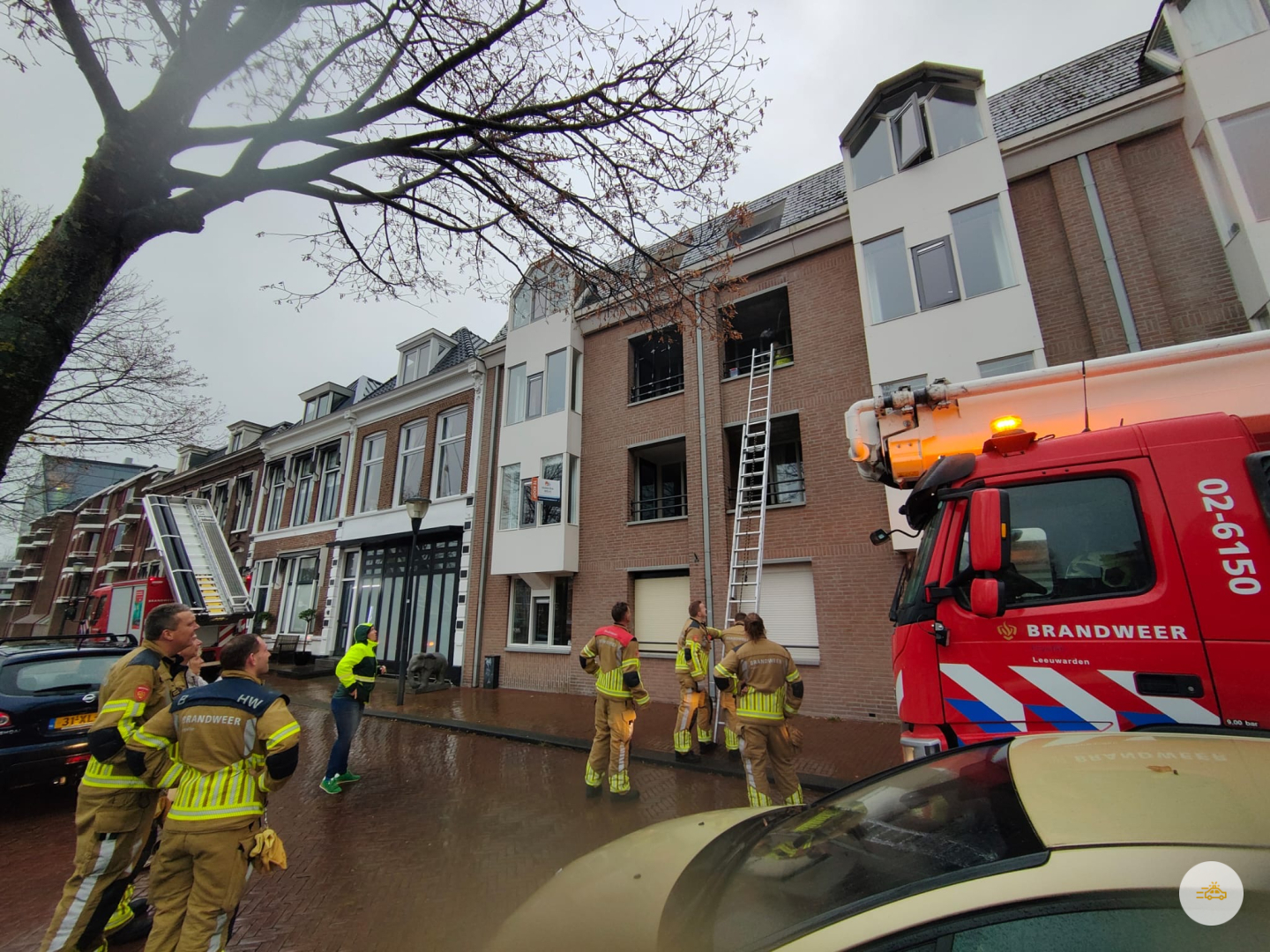 Duif gered van balkon