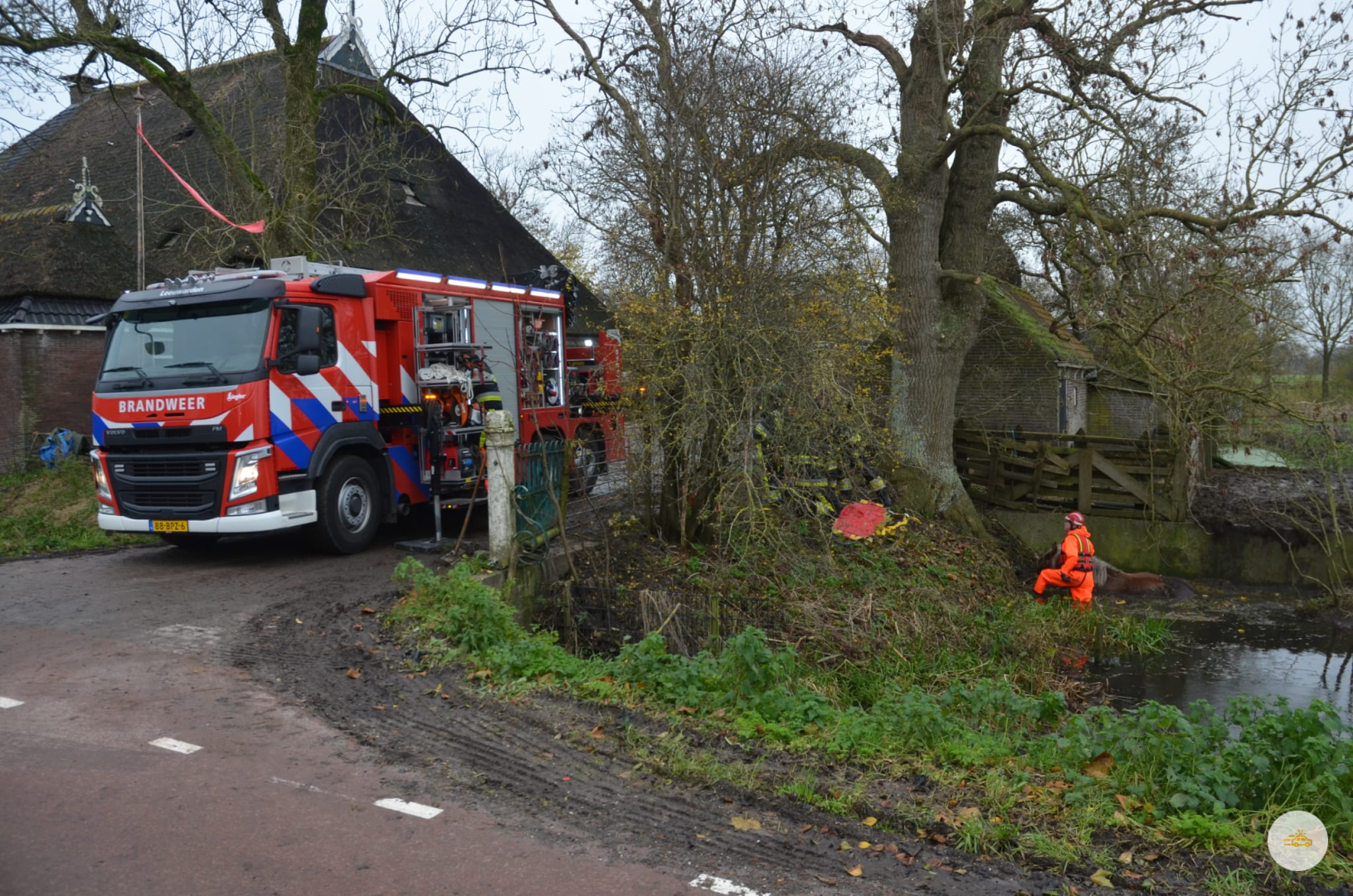 Paard te water in Boksum